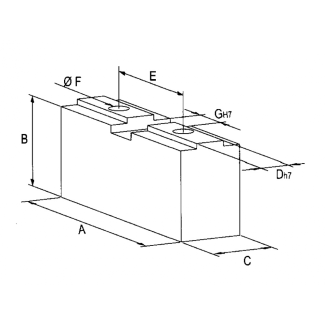 Fial manuale